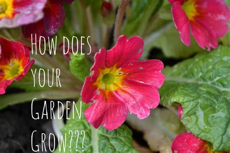 Spring! And How Does Your Garden (Business) Grow?